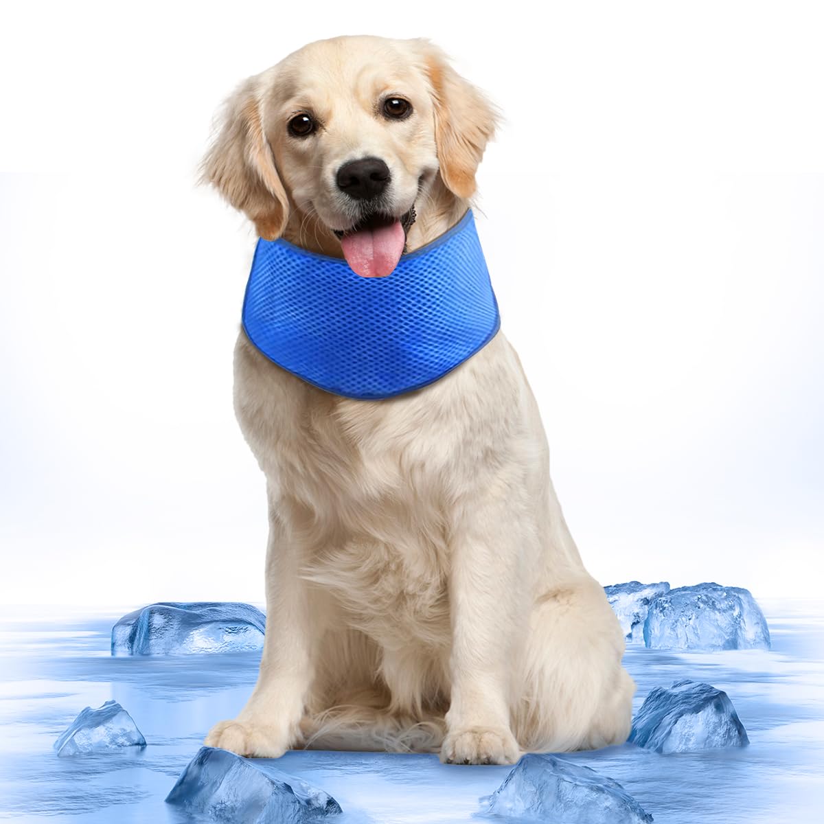 Bandana refrescante para perros