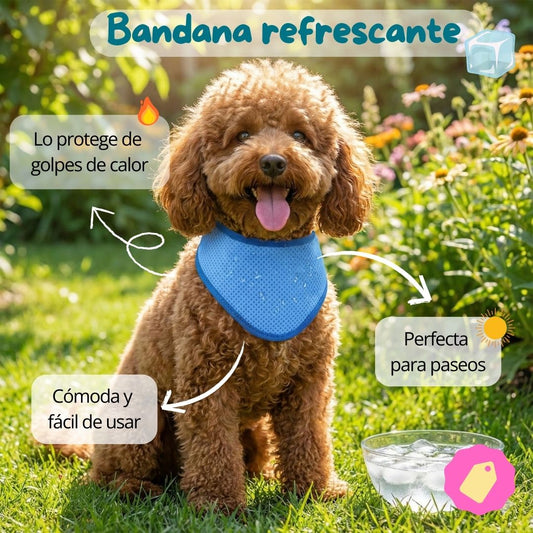 Bandana refrescante para perros
